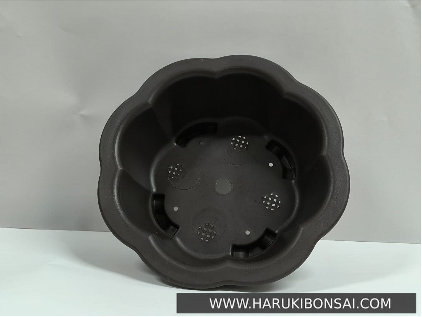 Maceta loto grande - LOL2609