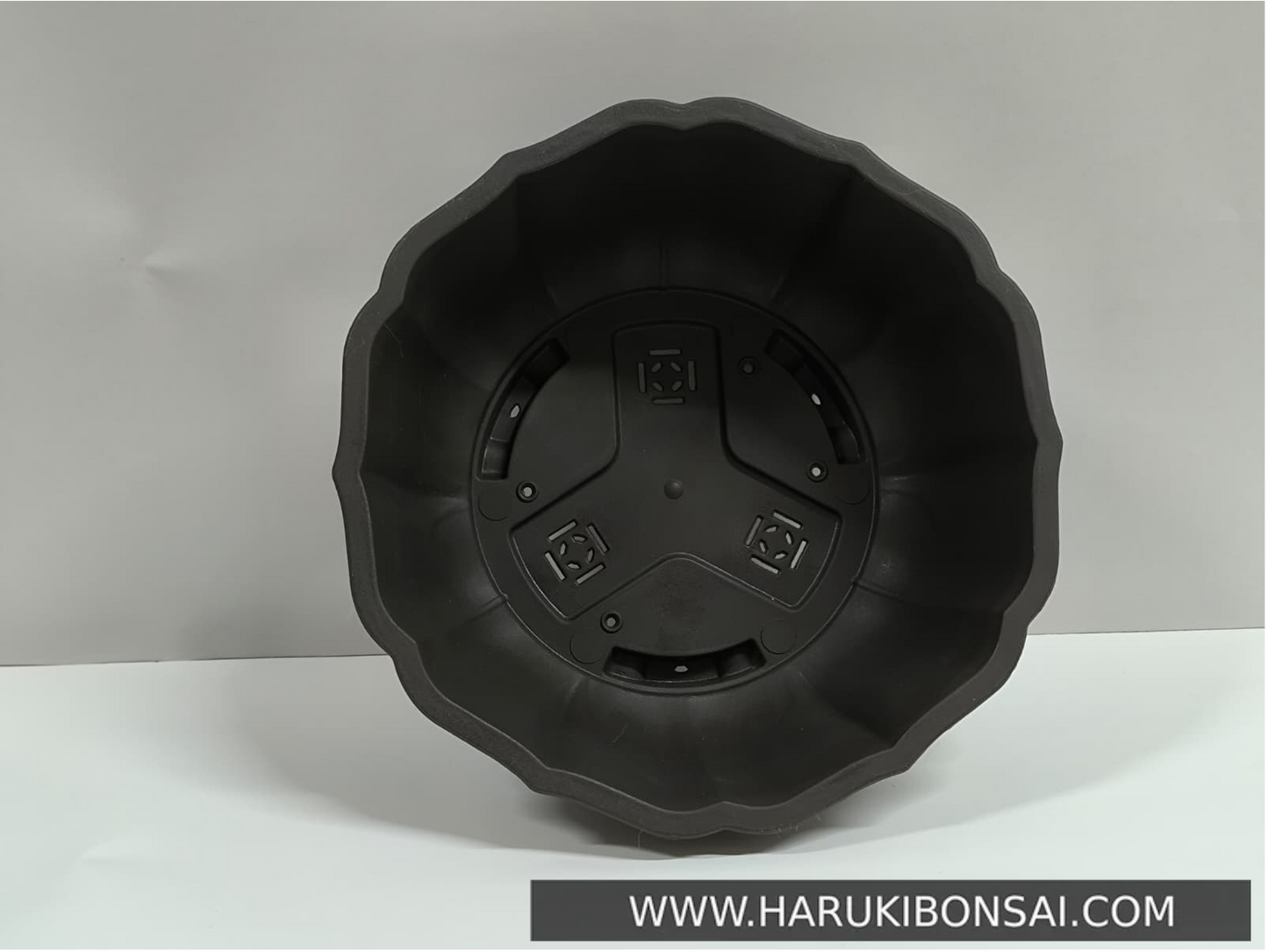 Maceta loto ovalada - LOM2209