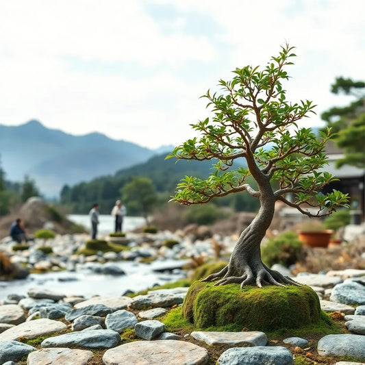 ¿Qué es un bonsai y cuales son sus estilos más comunes?