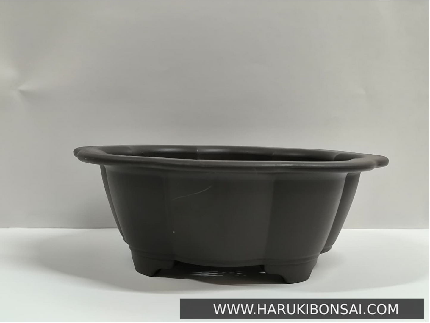 Maceta loto grande - LOL2609