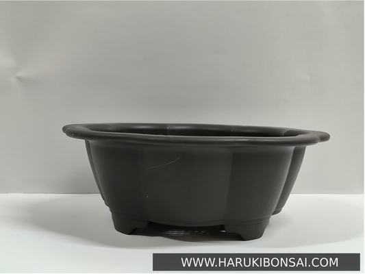 Maceta loto grande - LOL2609